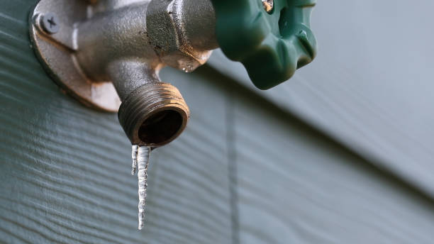 Best Plumbing Services Near Me  in Becker, MN